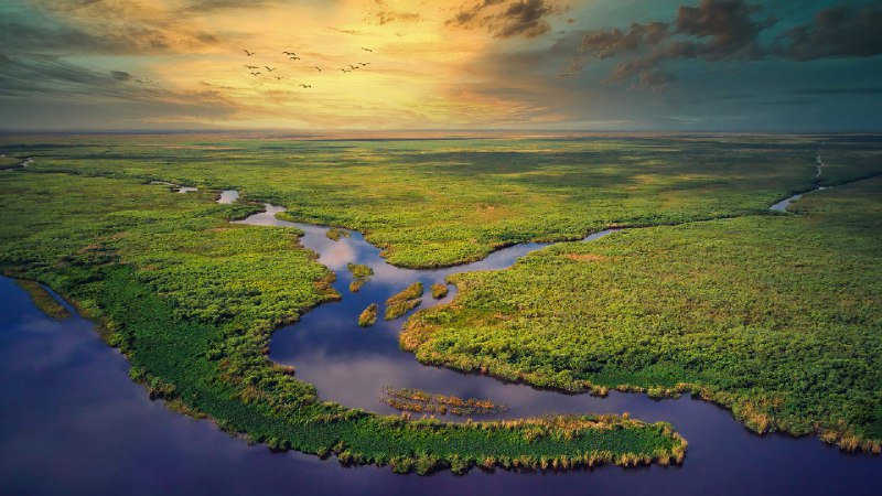 大沼泽地国家公园的鸟瞰图，佛罗里达州，美国 (© Robert DelVecchio - OcuDrone/Getty Images)via Bing每日壁纸