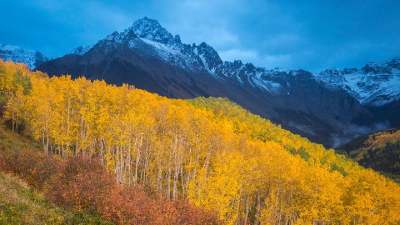 里奇韦附近斯内弗尔斯山脚下的秋色, 科罗拉多州, 美国 (© Grant Ordelheide/TANDEM Stills + Motion)via Bing每日壁纸