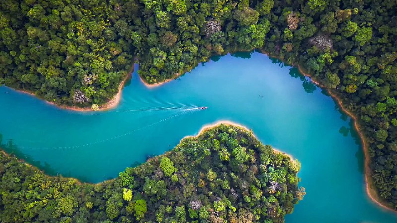 俯瞰拷索山林国家公园，素叻府，泰国 (© Peetatham Kongkapech/Getty Images)source