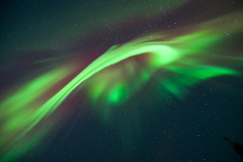 ----------------------Northern Lights tonight in Fairbanks, Alaska! #Alaska #NorthernLights #WinterInAlaskasource----------------------Northern Lights tonight in Fairbanks, Alaska! #Alaska #NorthernLights #WinterInAlaskasource