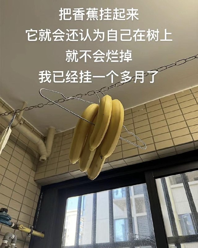 棒无 : wtf#日常生活中的有趣陌生人# 非常科学 非常合理#豆瓣动态wtfD叔 : 日常生活中的有趣陌生人非常科学 非常合理