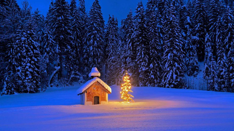 巴伐利亚阿尔卑斯山脉的雪中教堂与圣诞树，德国 (© mauritius images GmbH/Alamy)via Bing每日壁纸
