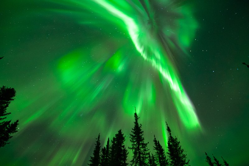 ----------------------From Pleasant Acres Reindeer Ranch last night. Wow!#Alaska #NorthernLights #FairbanksAlaskasource----------------------From Pleasant Acres Reindeer Ranch last night. Wow!#Alaska #NorthernLights #FairbanksAlaskasource