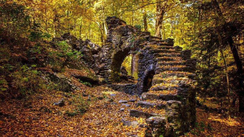 雪莉夫人森林和古堡遗迹，新罕布什尔州，美国 (© yggdrasill/Shutterstock)source