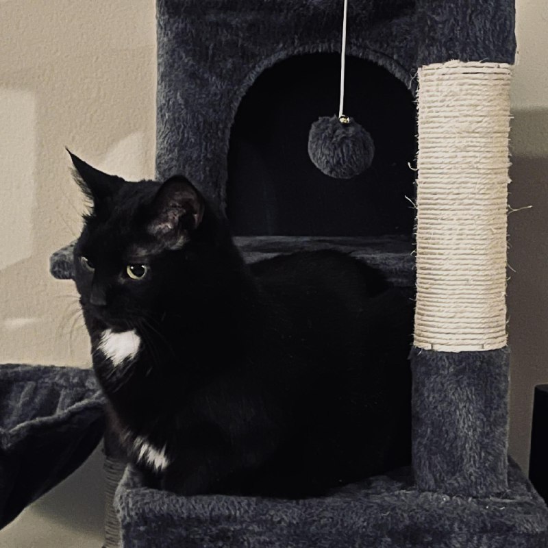 ----------------------嗯？source----------------------嗯？source