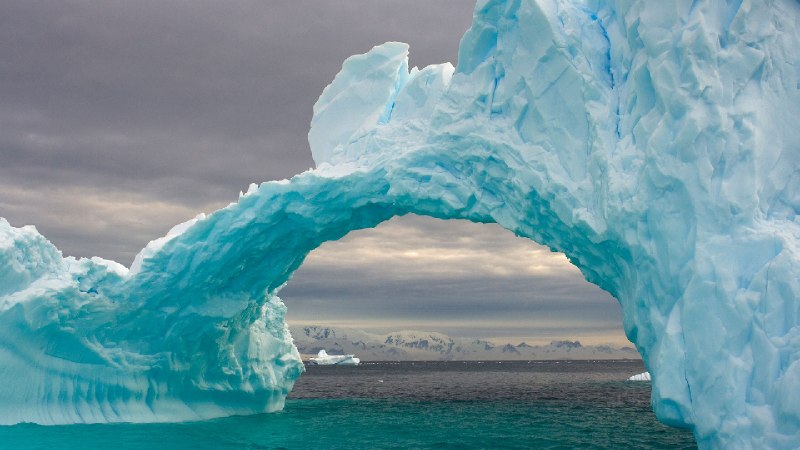 漂浮在南极半岛西部海域的拱形冰山, 南大洋 (© Steven Kazlowski/Nature Picture Library)via Bing每日壁纸