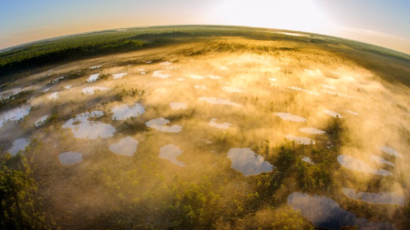 阿拉姆-佩德亚自然保护区，塔尔图县，爱沙尼亚 (© Sven Zacek/Nature Picture Library)via Bing每日壁纸