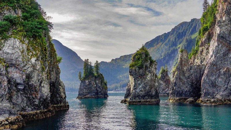 阿拉斯加基奈峡湾国家公园尖顶湾, 阿拉斯加州苏厄德, 美国 (© Wander Photography/Getty Images)source